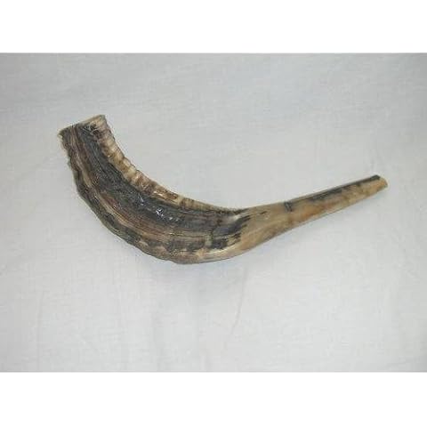 Rams HORN SHOFAR feature image