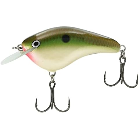 Rapala Lures feature image