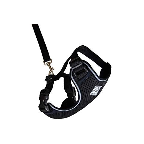 RC Pet Products feature image