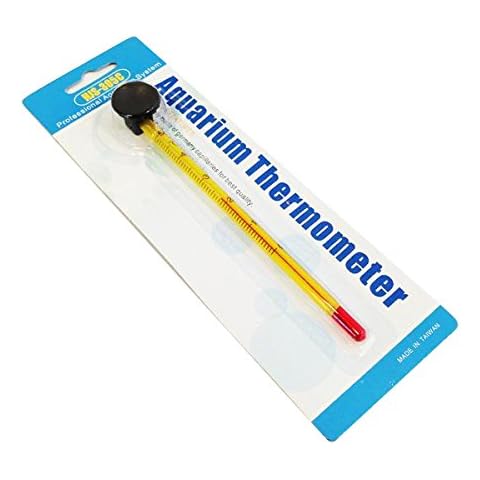 Real Aquatics feature image