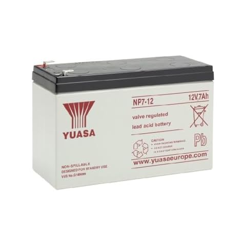 Rechargeable 12V Batteries