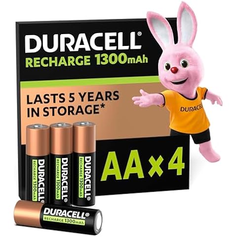Rechargeable AA Batteries