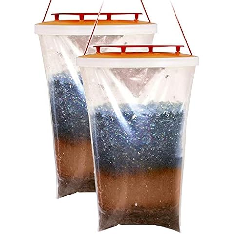 Red Top Fly Traps feature image