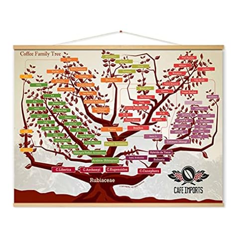 REDWPQ feature image