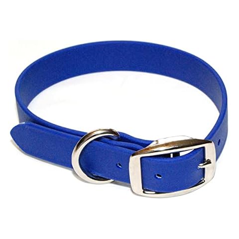 Regal Dog Products feature image