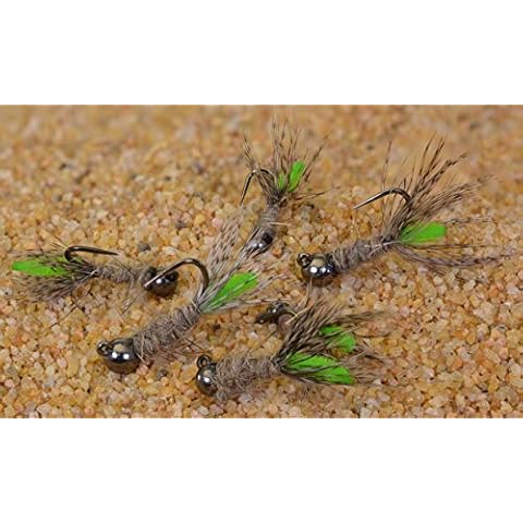 Region Fishing feature image