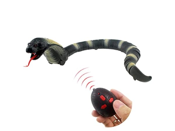 Top 10 Best Remote Control Snakes in 2024 - FindThisBest (UK)