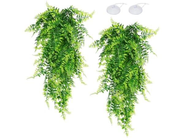 Reptile & Amphibian Habitat Plants Thumbnail