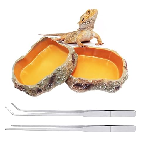 Reptile Growth thumbnail