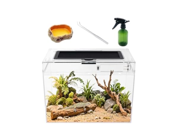 Reptile Terrariums Thumbnail