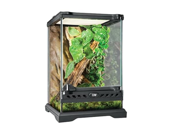 Reptile Terrariums Thumbnail