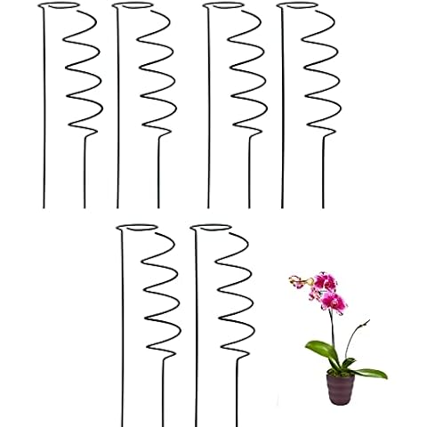 RIABXZ feature image