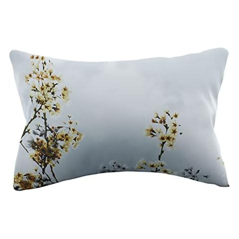 Rita Ora feature image