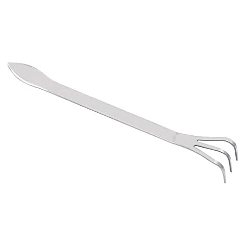 Rockible feature image