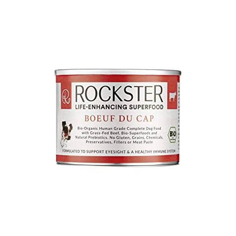 Rockster Superfood For Dogs feature image