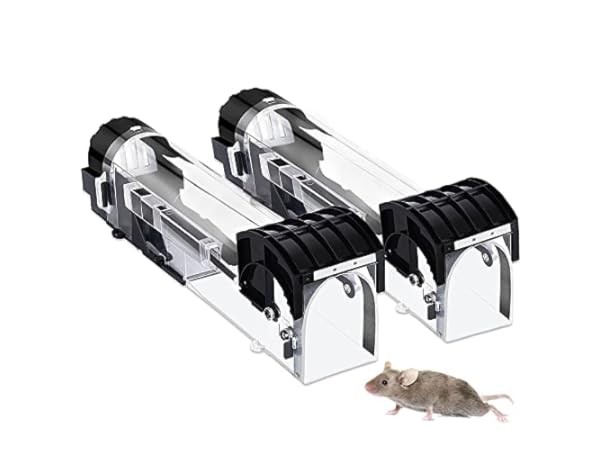 Top 10 Best Rodent Traps in 2024 - FindThisBest (UK)