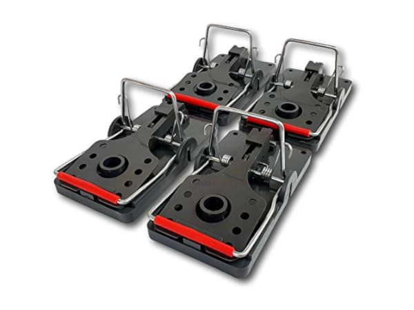 Rodent Traps Thumbnail