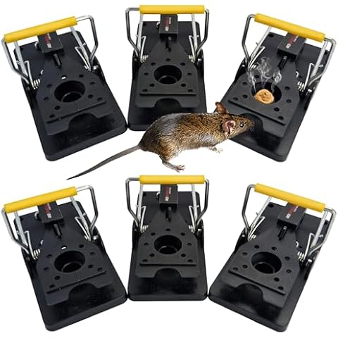 Rodent Traps