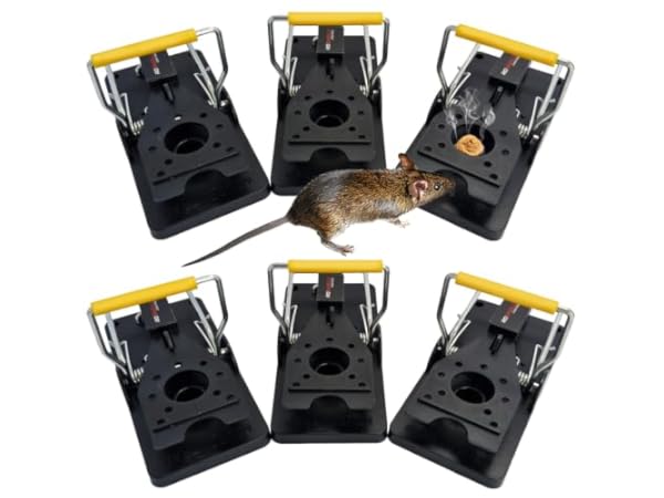 Rodent Traps thumbnail
