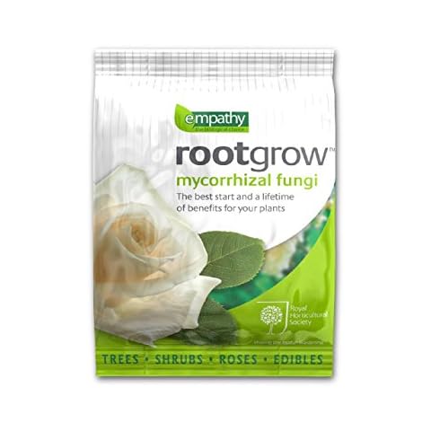 Rootgrow feature image