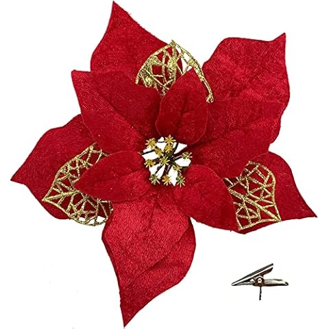 Roqueen feature image