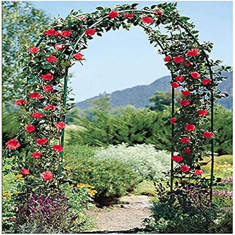 Rose Arch feature image