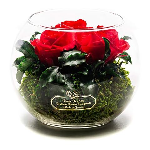 Rosen-Te-Amo feature image