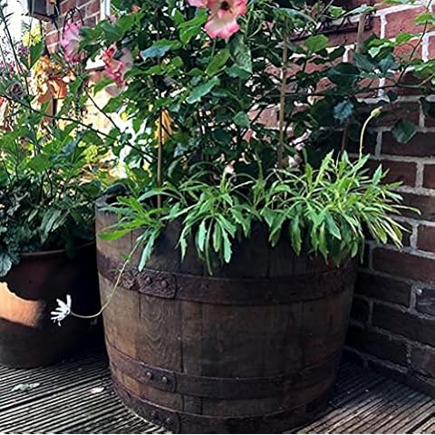 Round Wood thumbnail