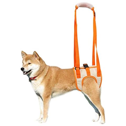 ROZKITCH feature image