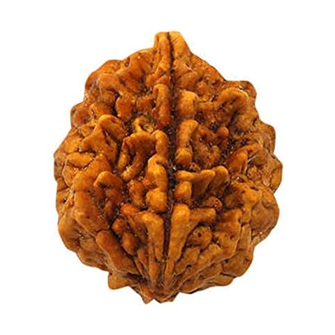 Rudraksha Point feature image