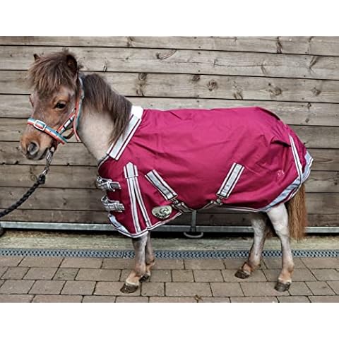 Ruggles Equestrian thumbnail