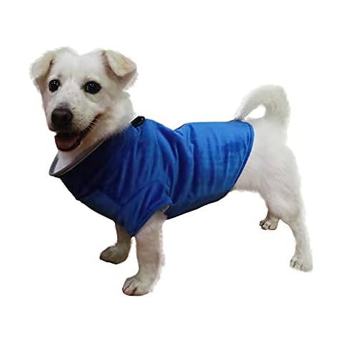 RUNBOW feature image