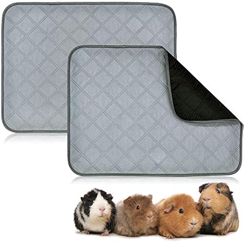 RYPET feature image