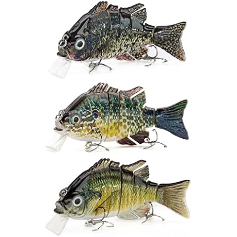 SA Sunrise Angler feature image