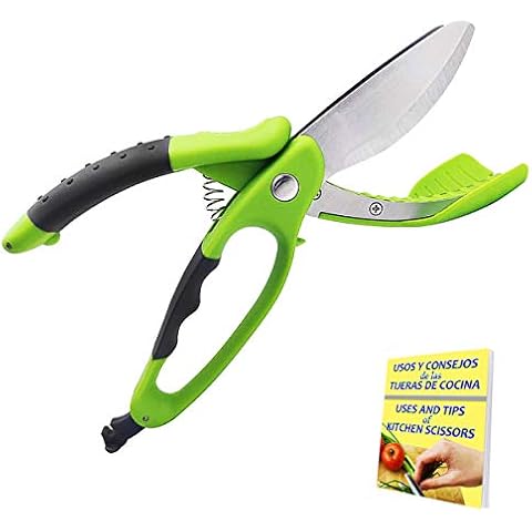 Salveria feature image