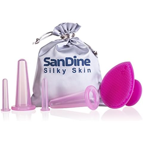 SanDine Silky Skin feature image