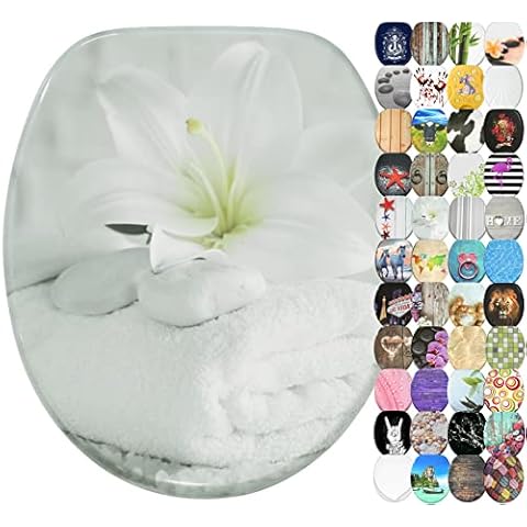 Sanilo feature image