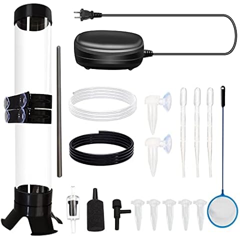 Saricho feature image