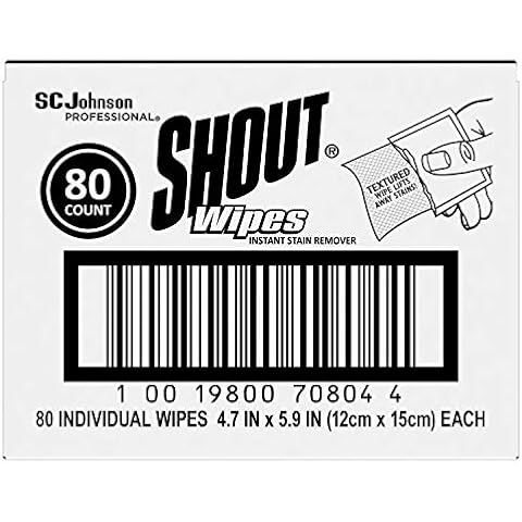 SC Johnson Professional feature image