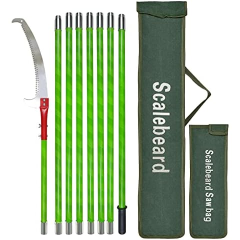 Scalebeard thumbnail