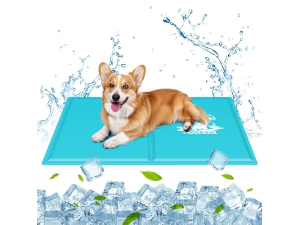 Scratch Resistant Dog Bed Mats thumbnail