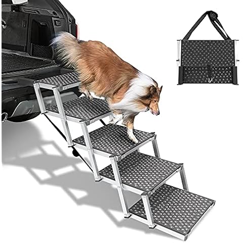 SEEZSSA thumbnail