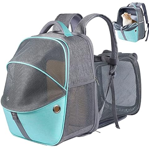 SEVVIS feature image