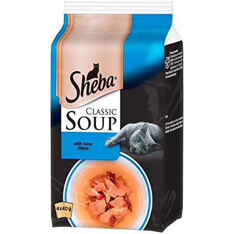 Sheba thumbnail