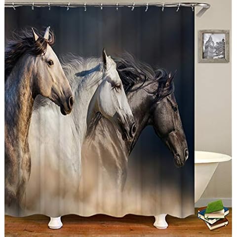 Shocur feature image