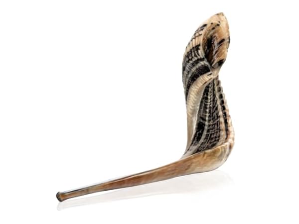 Shofar Instruments Thumbnail