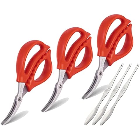 Sisims feature image