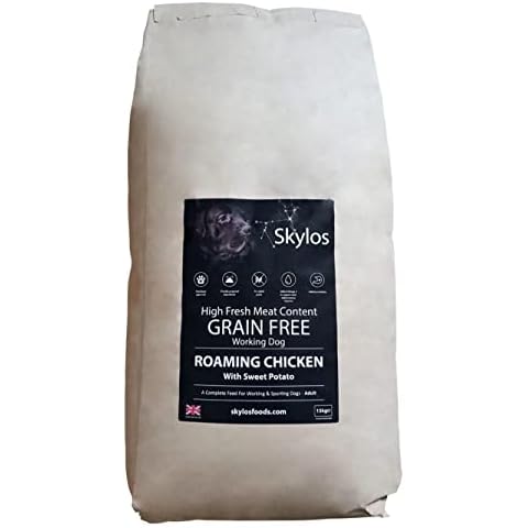 Skylos feature image