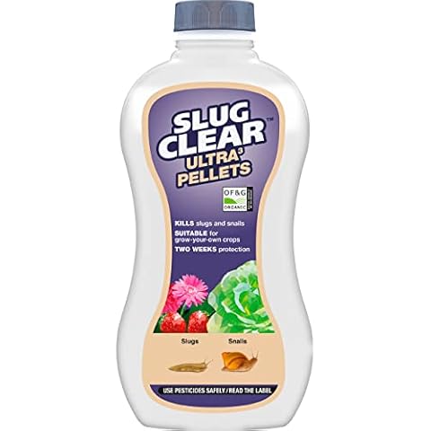 SlugClear feature image