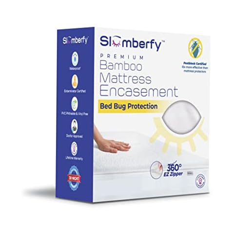 Slumberfy feature image